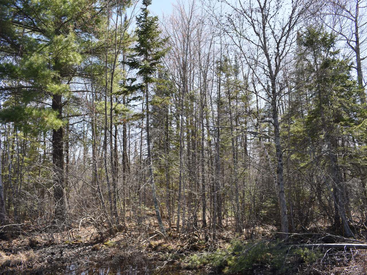 Lot 8 Pfeifer Road Tomahawk, WI 54487 - Photo 10 of 25 Gallery Image 10
