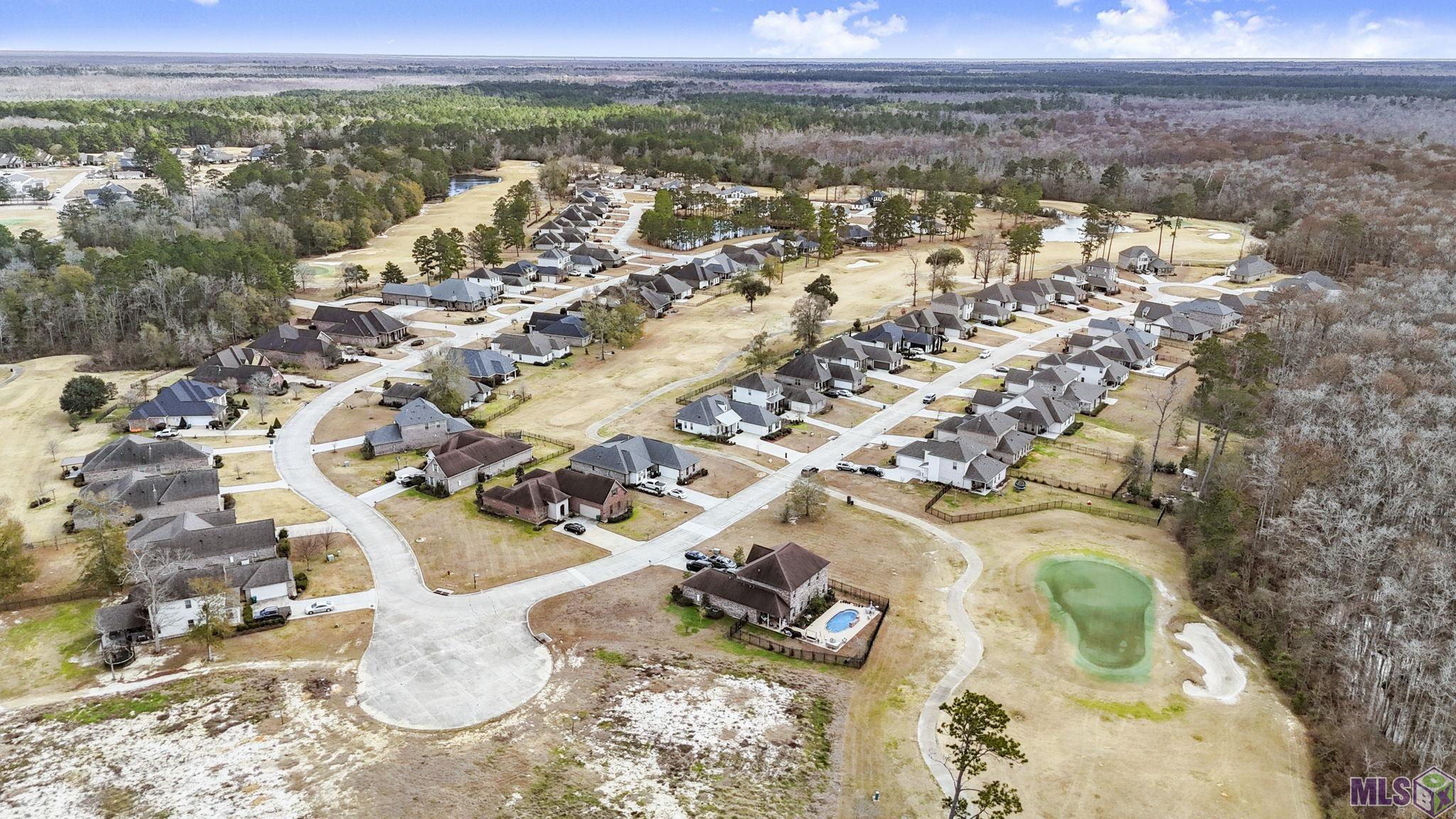 23373 Cypress Cove Springfield, LA 70462 - Photo 41 of 51