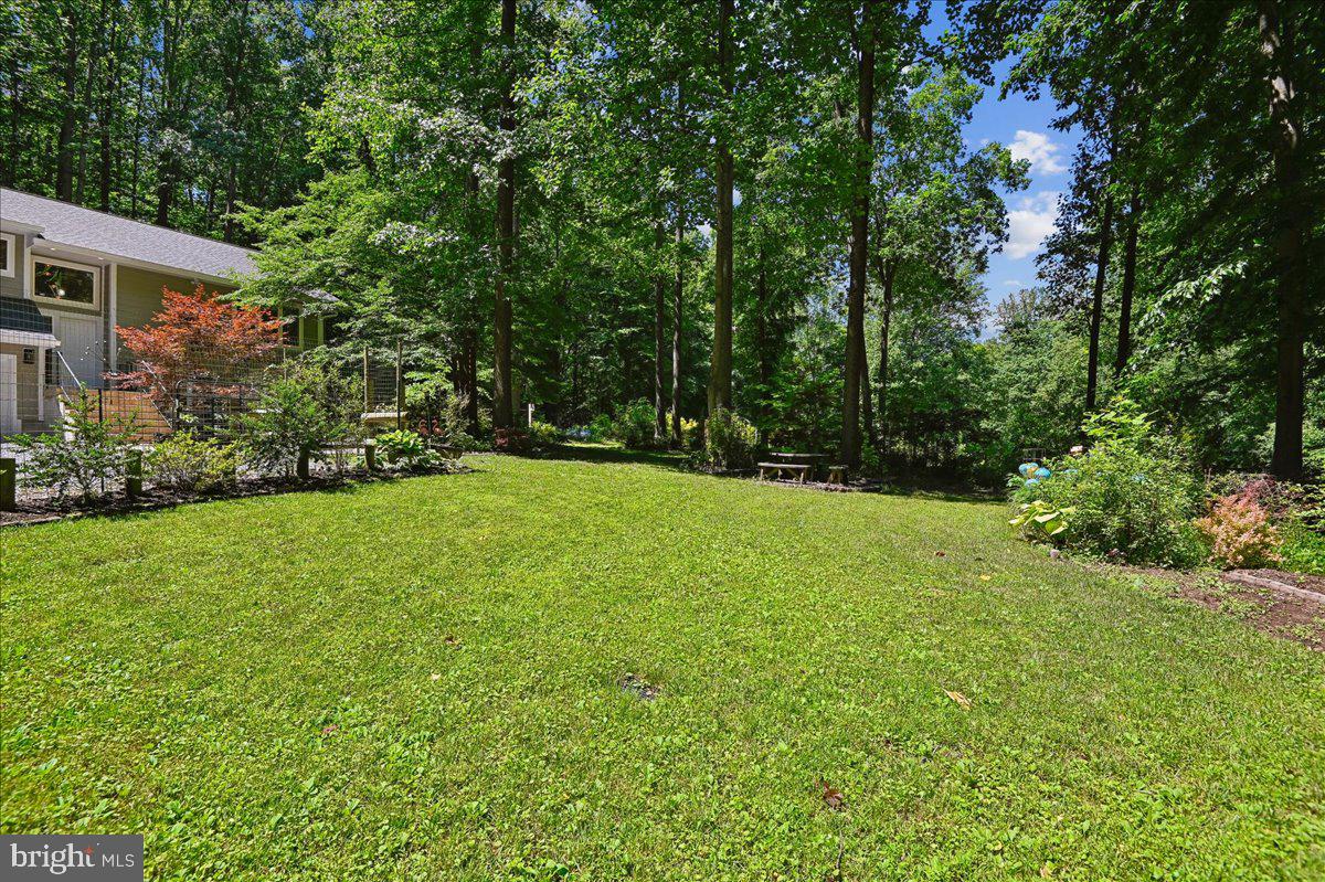 3633 Patuxent River Road Davidsonville, MD 21035 - Photo 3 of 85 Lovely Front Yard with Lawn Area and Plantings