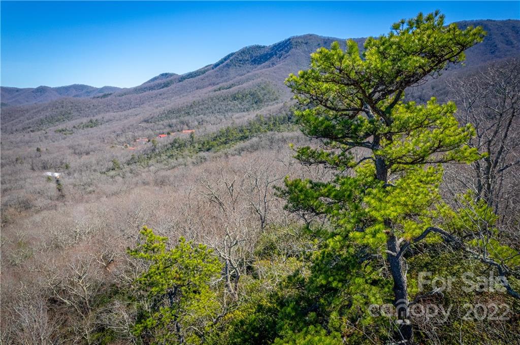 99999 Sharp Road Black Mountain, NC 28711 - Photo 11 of 18