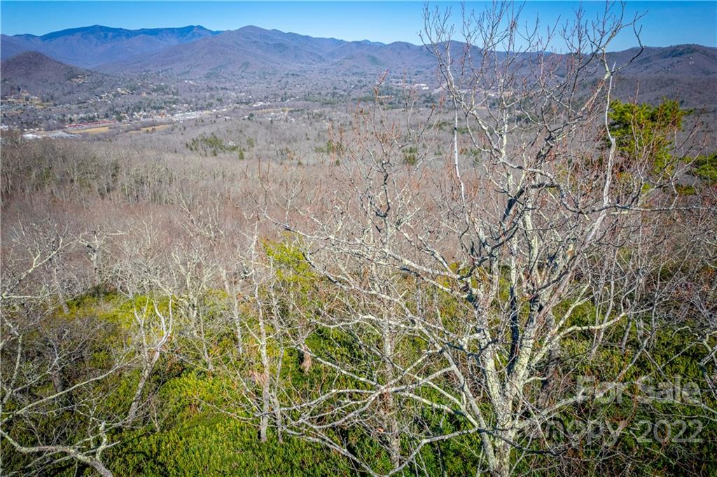 99999 Sharp Road Black Mountain, NC 28711 - Photo 13 of 18