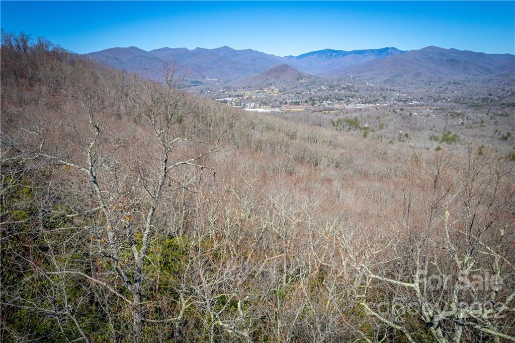 99999 Sharp Road Black Mountain, NC 28711 - Photo 14 of 18