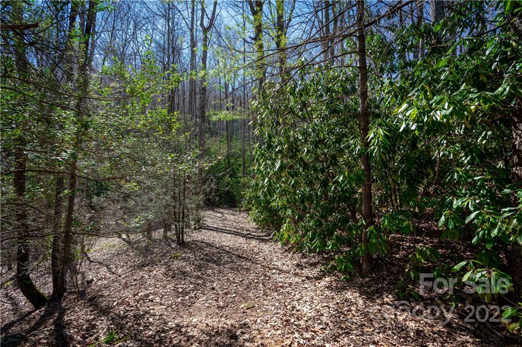 99999 Sharp Road Black Mountain, NC 28711 - Photo 15 of 18