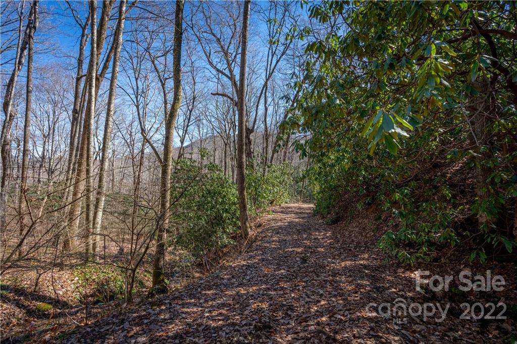 99999 Sharp Road Black Mountain, NC 28711 - Photo 16 of 18