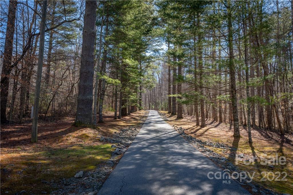 99999 Sharp Road Black Mountain, NC 28711 - Photo 17 of 18