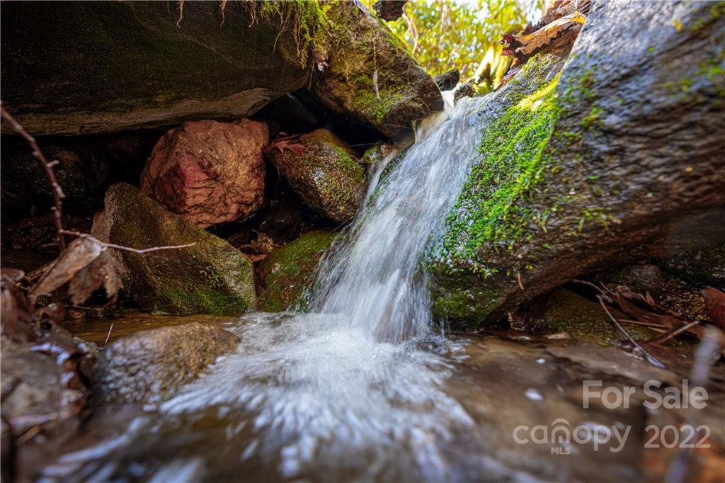 99999 Sharp Road Black Mountain, NC 28711 - Photo 2 of 18