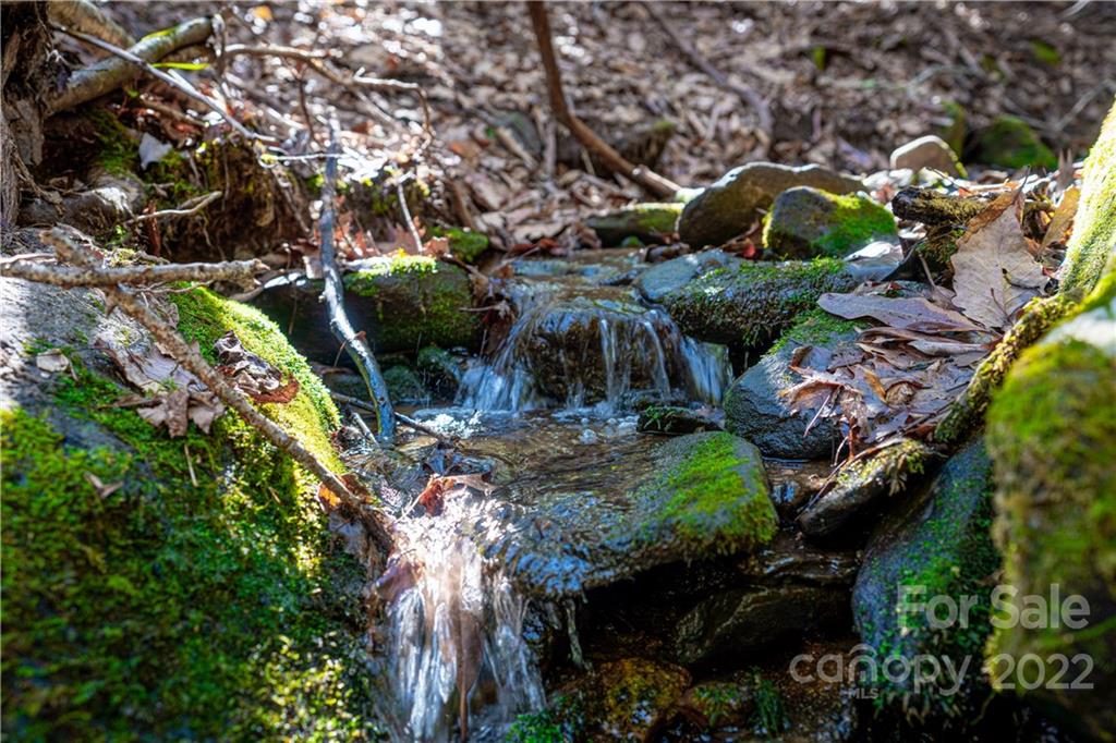 99999 Sharp Road Black Mountain, NC 28711 - Photo 3 of 18