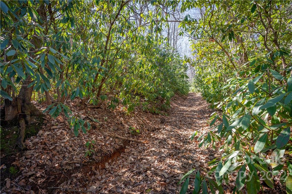 99999 Sharp Road Black Mountain, NC 28711 - Photo 4 of 18