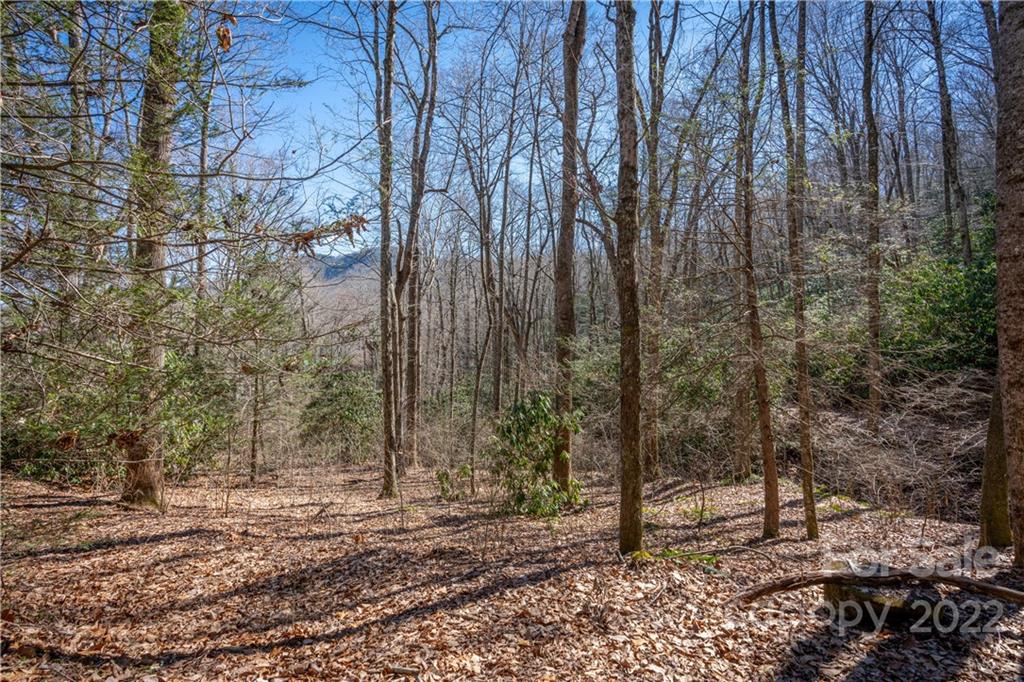 99999 Sharp Road Black Mountain, NC 28711 - Photo 5 of 18