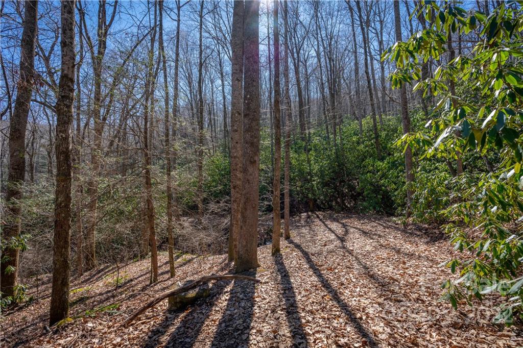 99999 Sharp Road Black Mountain, NC 28711 - Photo 6 of 18