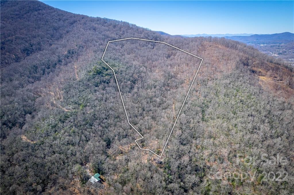 99999 Sharp Road Black Mountain, NC 28711 - Photo 7 of 18