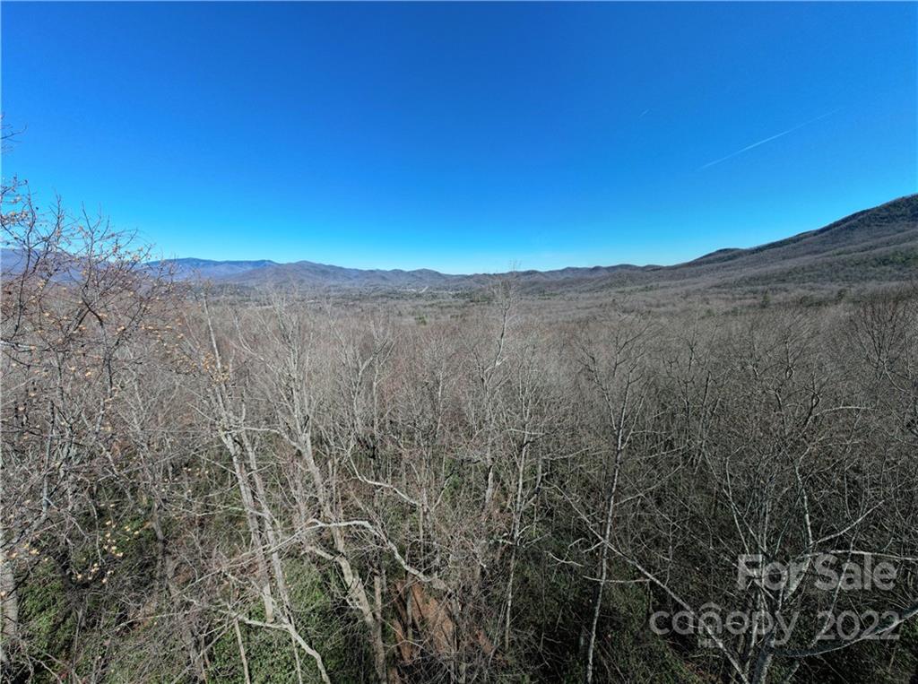 99999 Sharp Road Black Mountain, NC 28711 - Photo 8 of 18