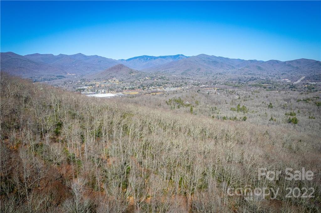 99999 Sharp Road Black Mountain, NC 28711 - Photo 9 of 18