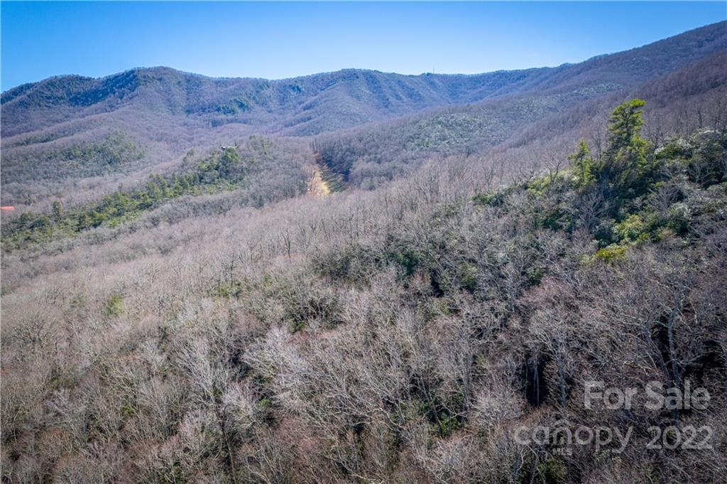 99999 Sharp Road Black Mountain, NC 28711 - Photo 10 of 18