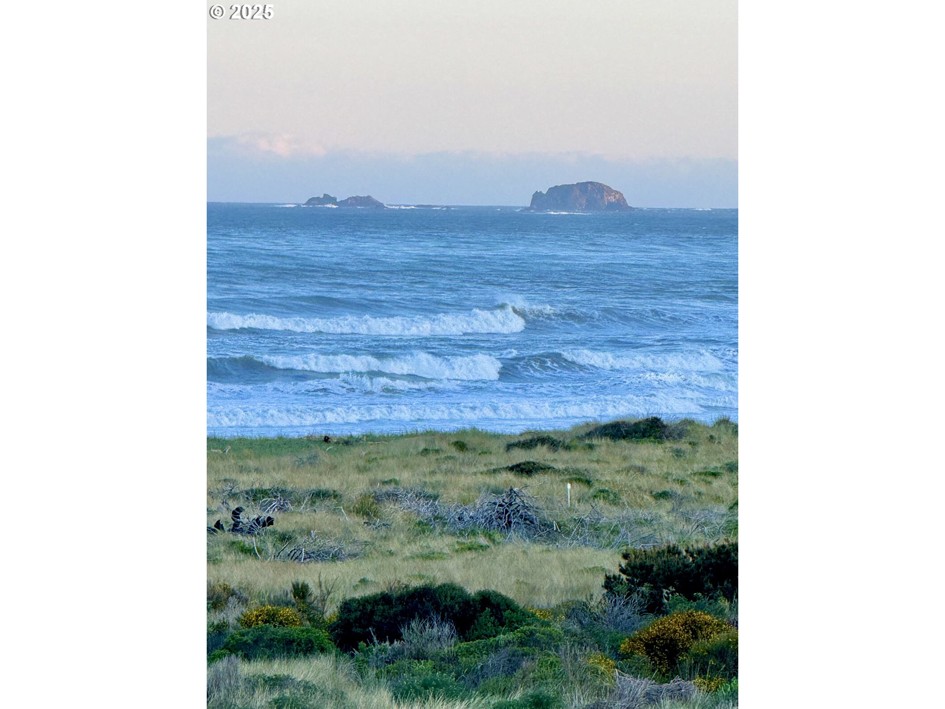 94098 Rubys Way Gold Beach, OR 97444 - Photo 46 of 48