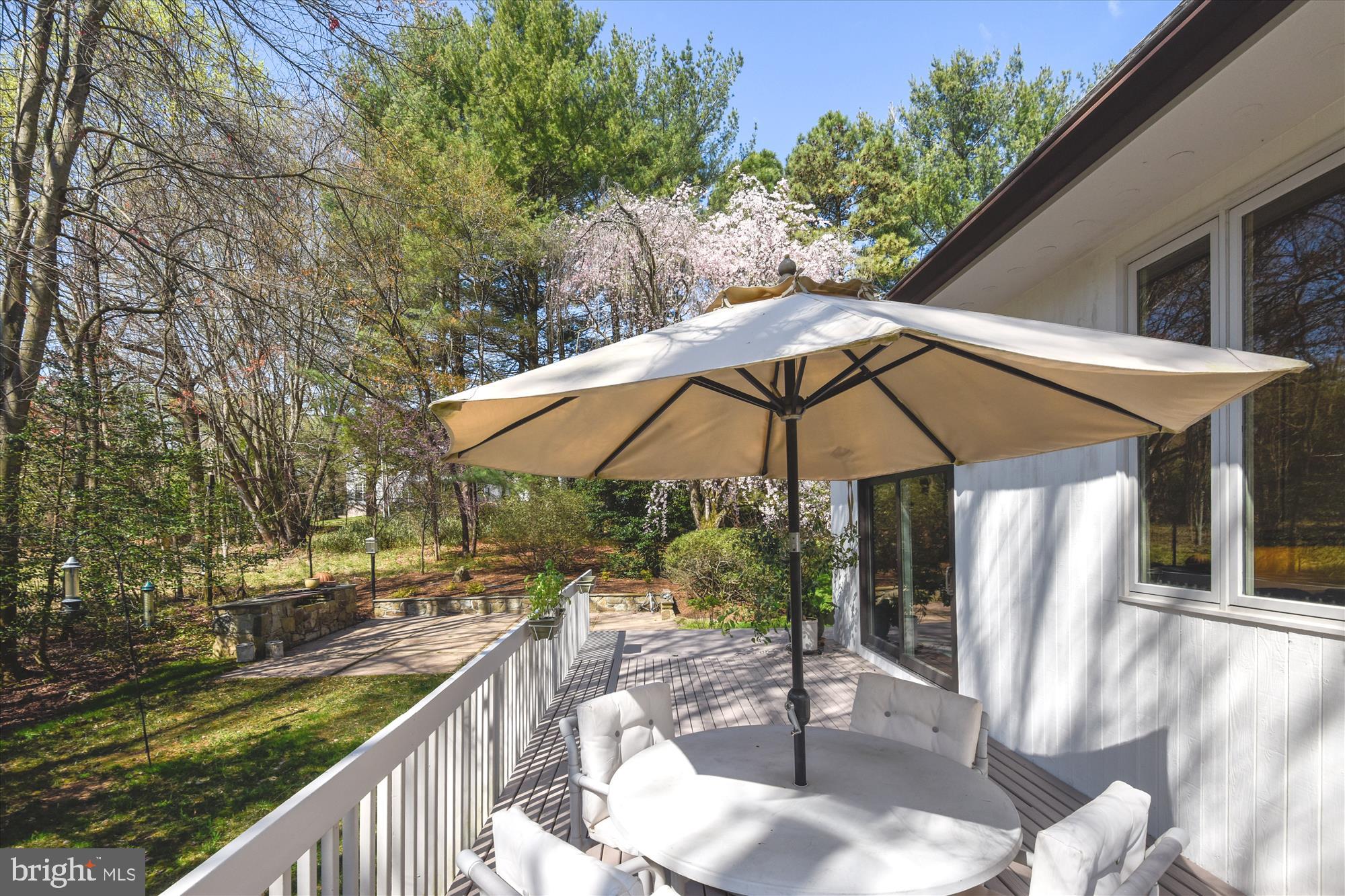 11206 Georgetown Pike Great Falls, VA 22066 - Photo 42 of 47 EXTERIOR: DECK