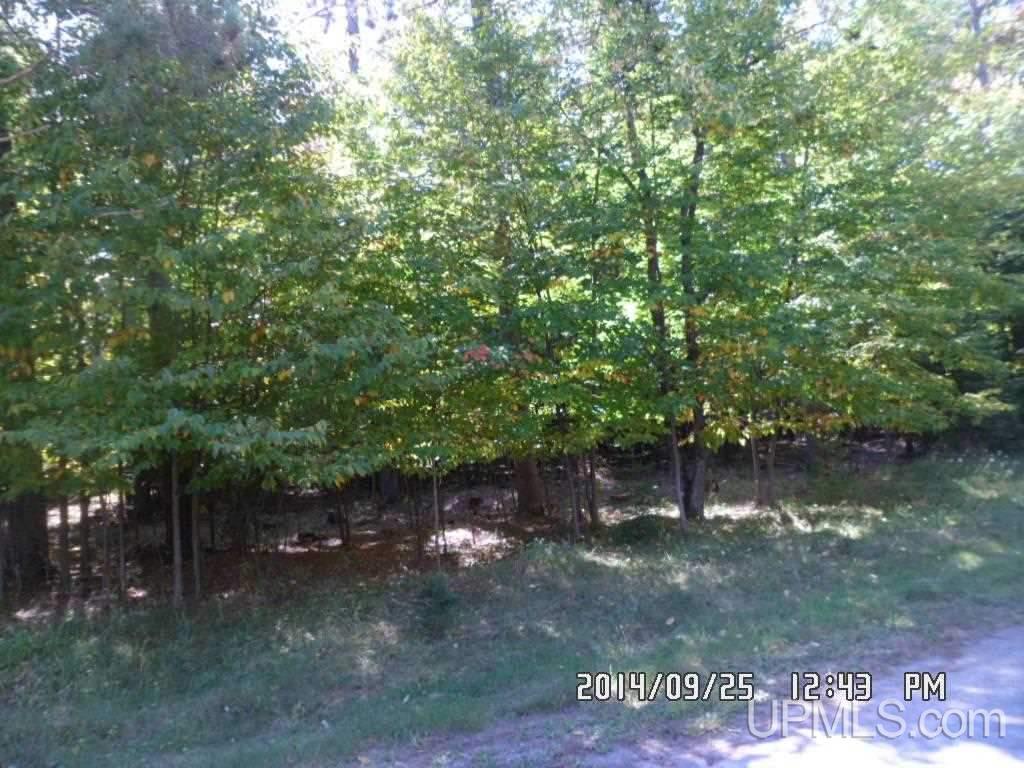 Tbd North Tbd N 75th Road Gladstone, MI 49837 - Photo 1 of 10