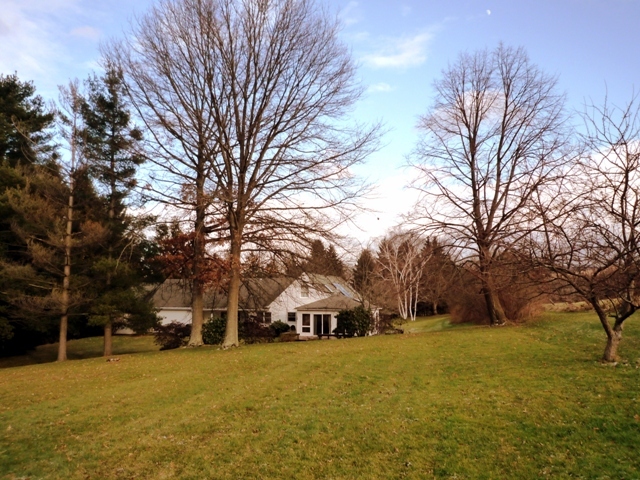 341 Luce Road Williamstown, MA 01267 - Photo 3 of 30 Large back lawn