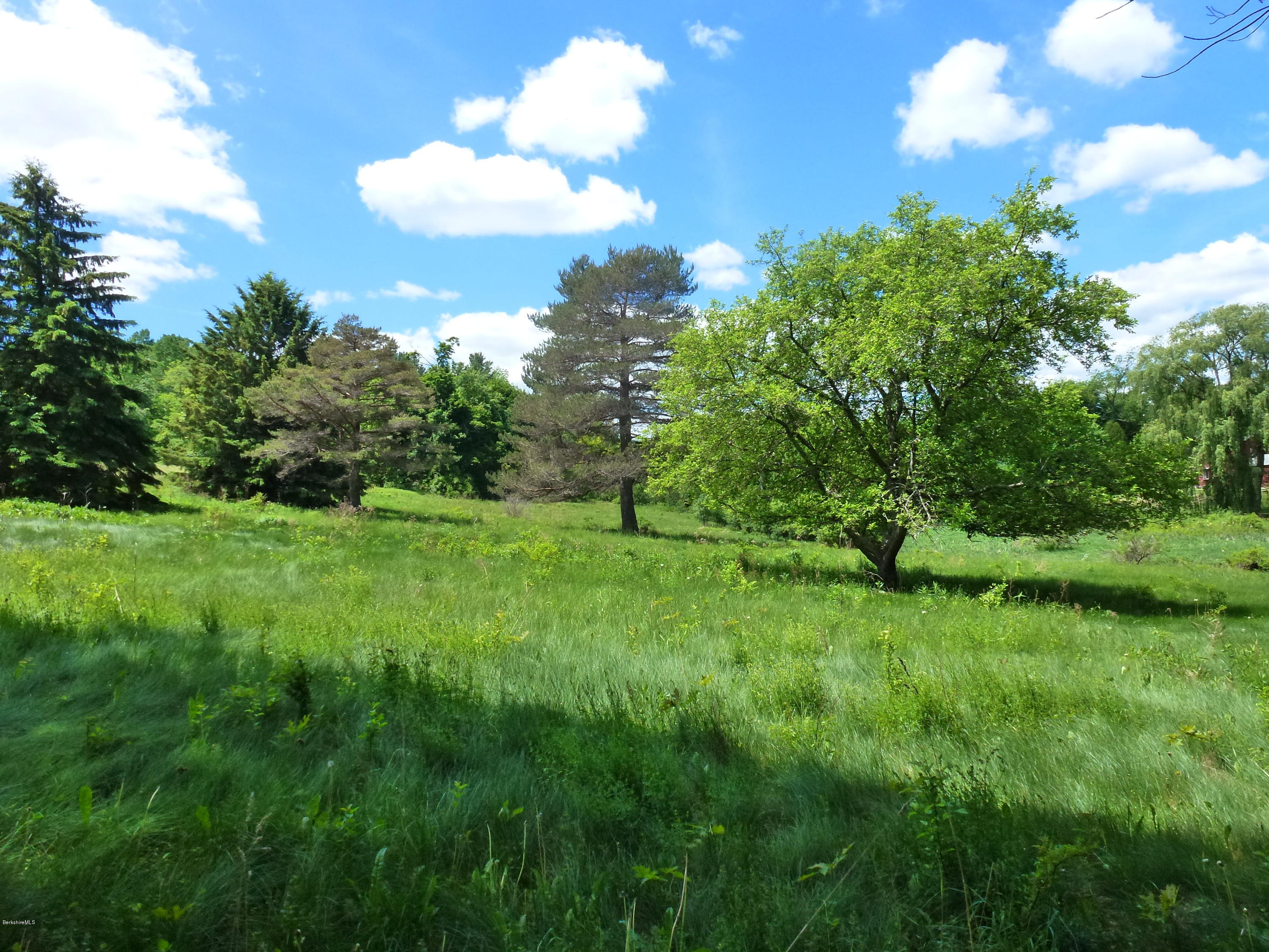 341 Luce Road Williamstown, MA 01267 - Photo 29 of 30 Room to roam