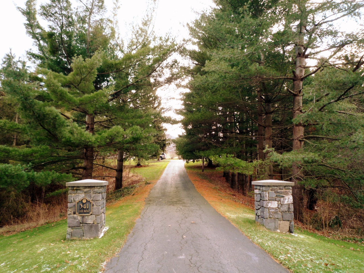 341 Luce Road Williamstown, MA 01267 - Photo 4 of 30 Driveway to Home