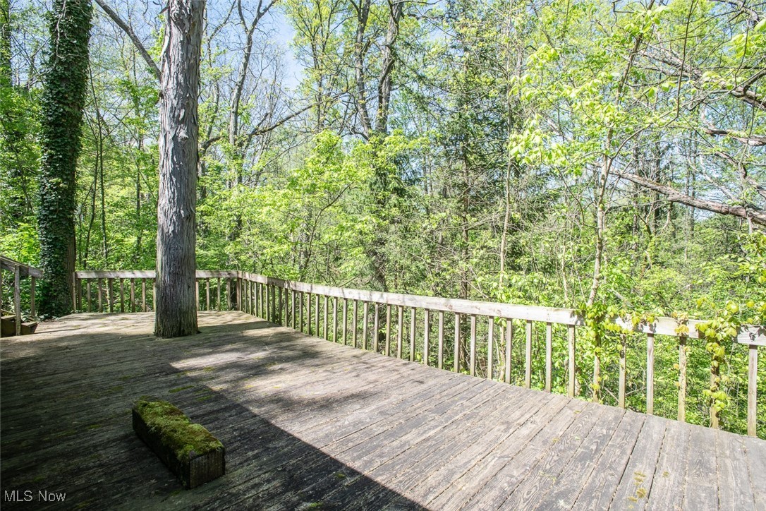 41180 Butternut Ridge Road Elyria, OH 44035 - Photo 11 of 50 Deck with a wooded view