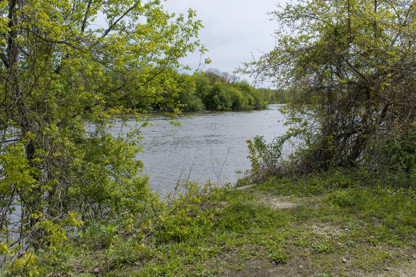 35W333 Riverside Drive St. Charles, IL 60174 - Photo 29 of 29