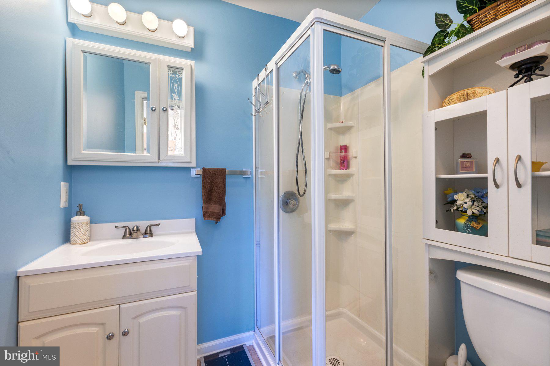 530 Rita Drive Odenton, MD 21113 - Photo 15 of 42 Full Bathroom #2