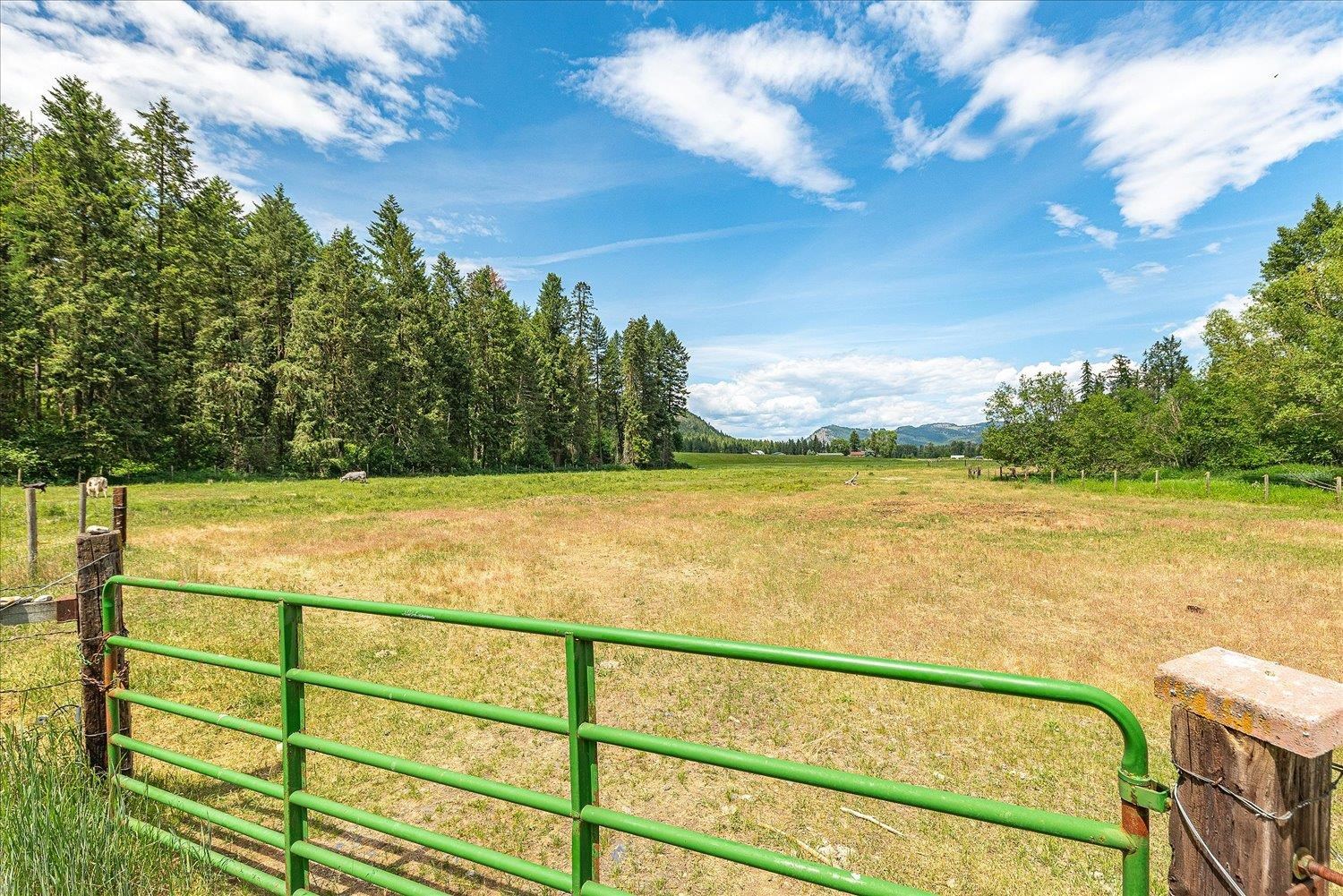 512 Williams Lake Road Colville, WA 99114 - Photo 34 of 46