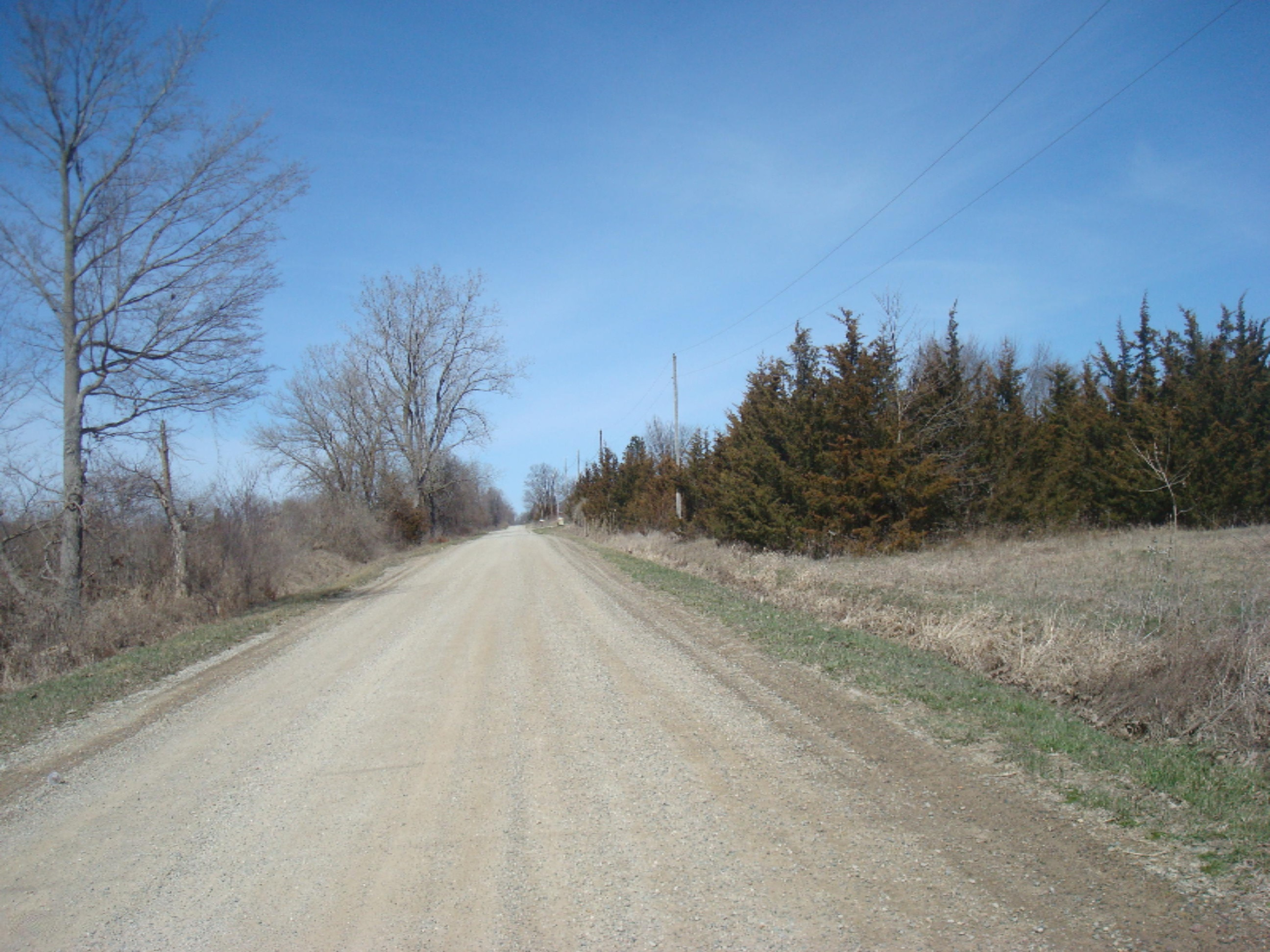 14691 Crampton Road Camden, MI 49232 - Photo 4 of 14 9165-2 (3)