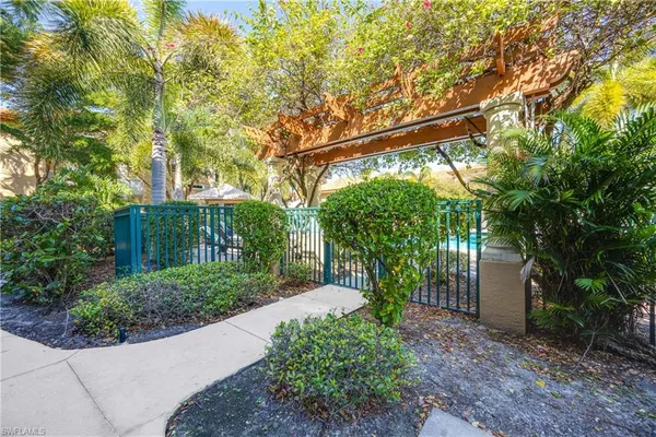 a view of a garden with a tree