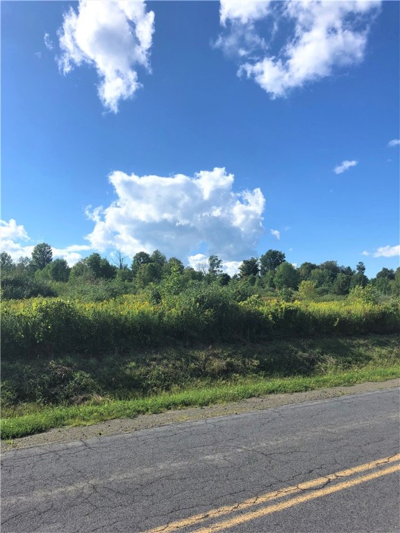 0 Demunn Road Beaver Dams, NY 14812 - Photo 1 of 3 Road Frontage