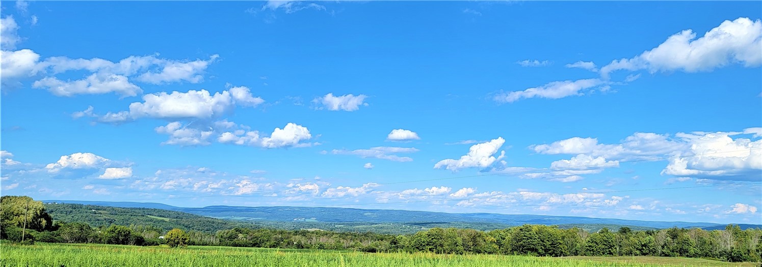0 Demunn Road Beaver Dams, NY 14812 - Photo 3 of 3 Distant View