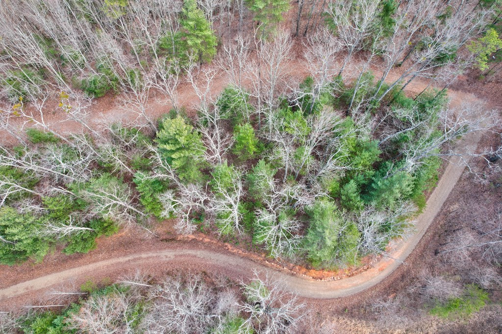 22-24 Rye Field Road Murphy, NC 28906 - Photo 17 of 26