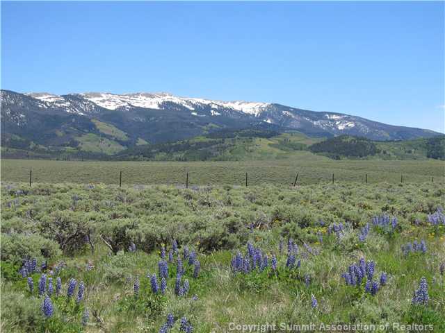 132 Elk Run Road Silverthorne, CO 80498 - Photo 13 of 25 View.