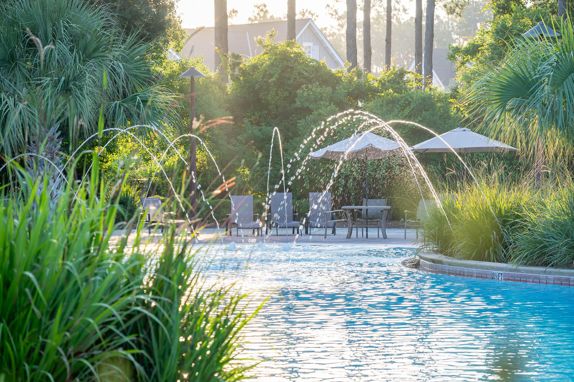 314 West Firethorn Circle, Unit LOT 33 Watersound, FL 32461 - Photo 27 of 32 a view of swimming pool with a garden and plants