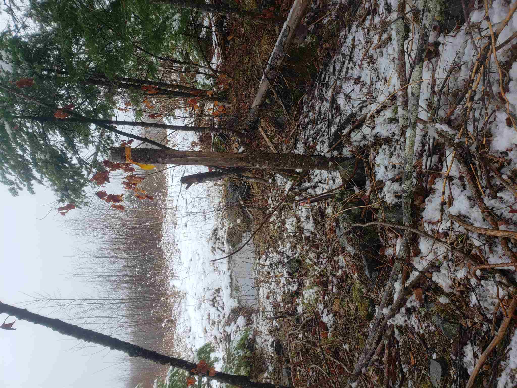 0 Lost Nation Road, Unit LOT #10 Northumberland, NH 03582 - Photo 3 of 4 Gallery Image 3