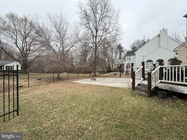 a view of backyard with large trees