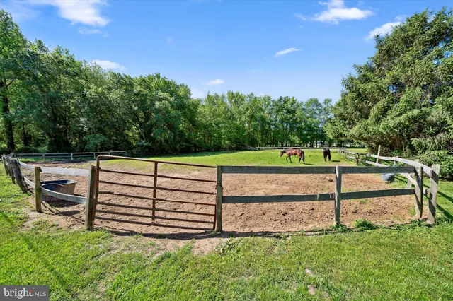 a view of a backyard of the house