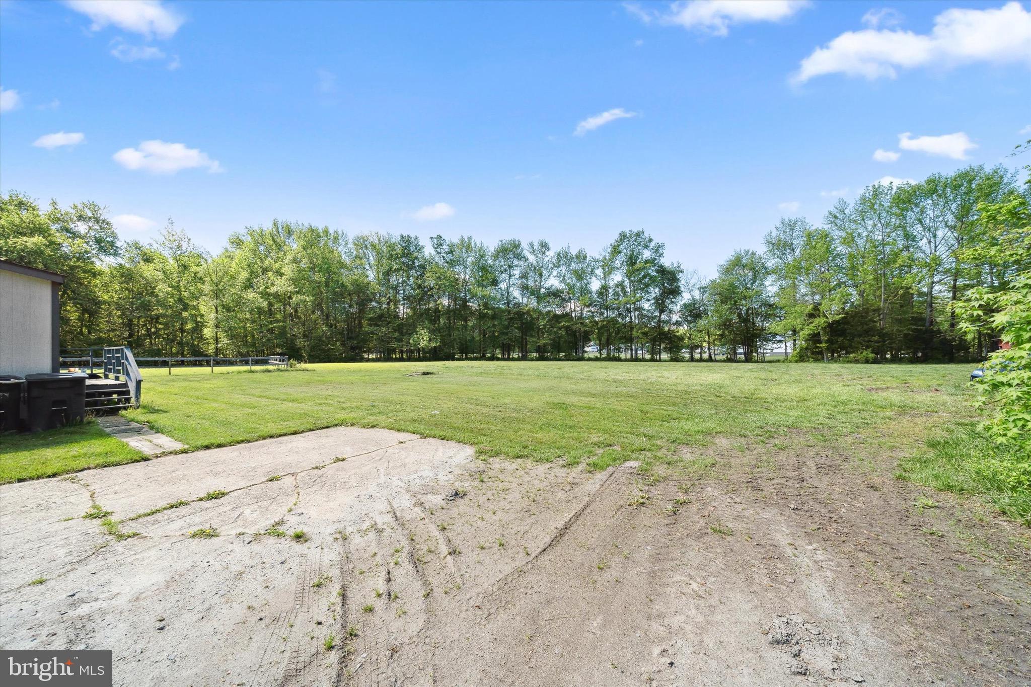 197-199 Pine Tree Road Townsend, DE 19734 - Photo 19 of 62 a view of a park with large trees