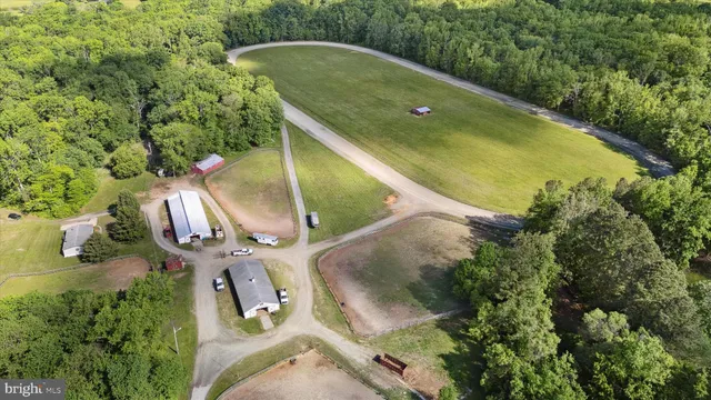 a view of a swimming pool with a yard and plants