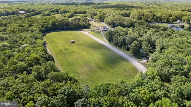 a view of a swimming pool and trees in the background