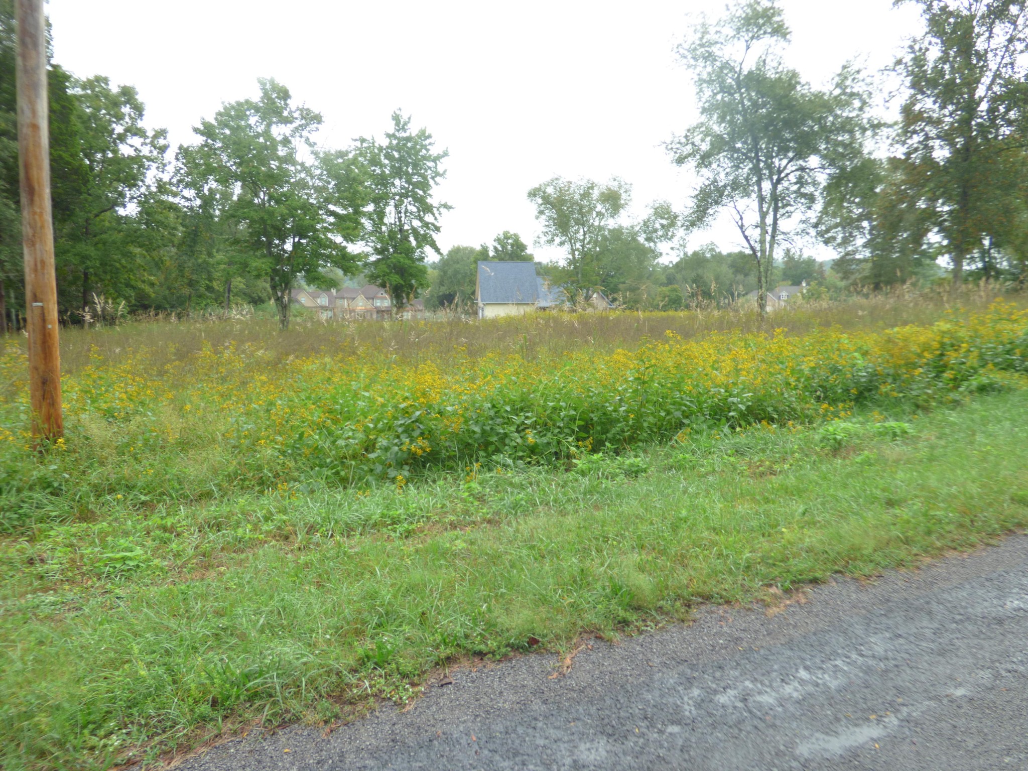 0 Stump Hollow Road Spring City, TN 37381 - Photo 7 of 12 Gallery Image 7