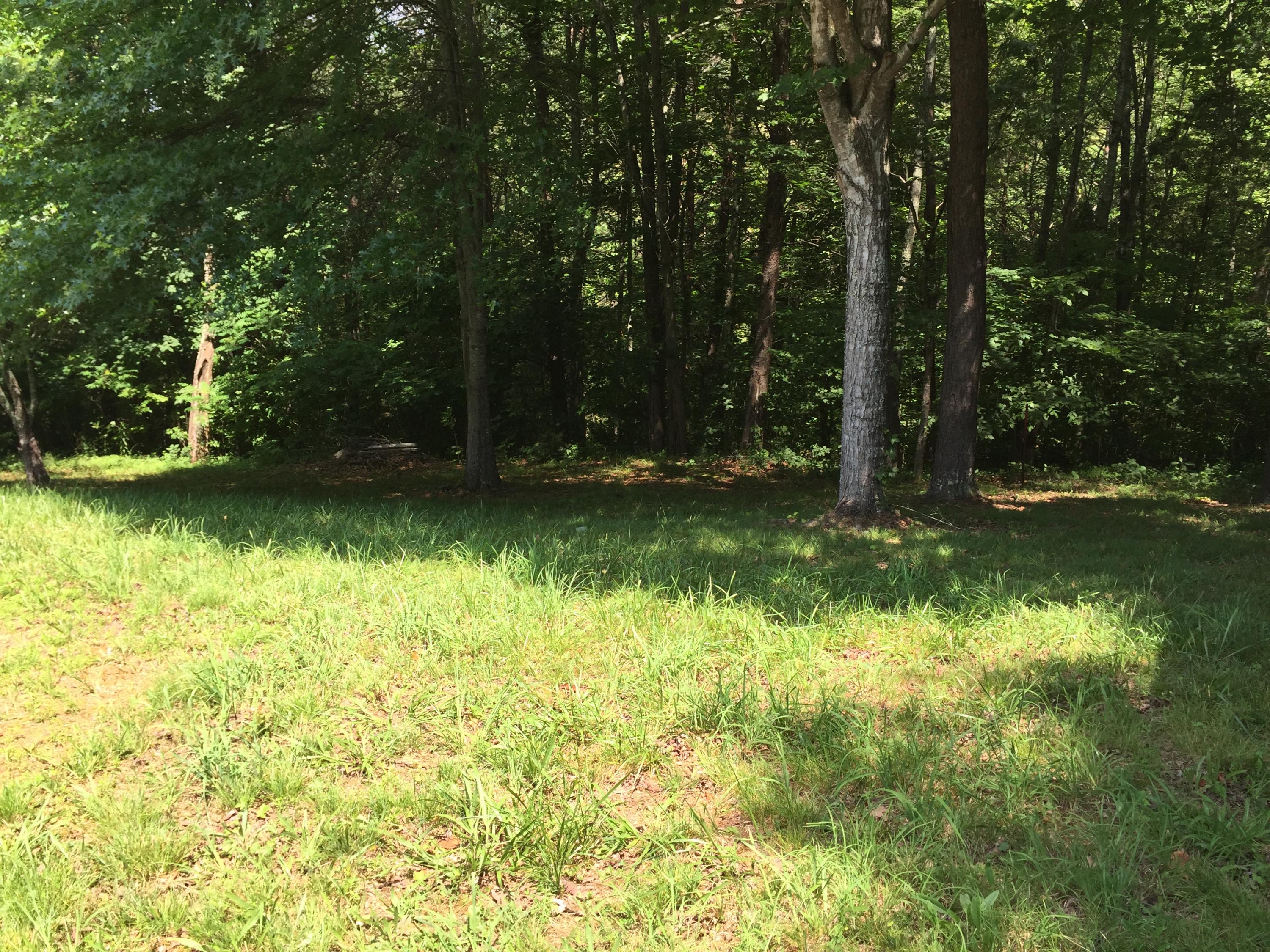 165 Loop Hollow Road New Tazewell, TN 37825 - Photo 19 of 23 IMG_0488