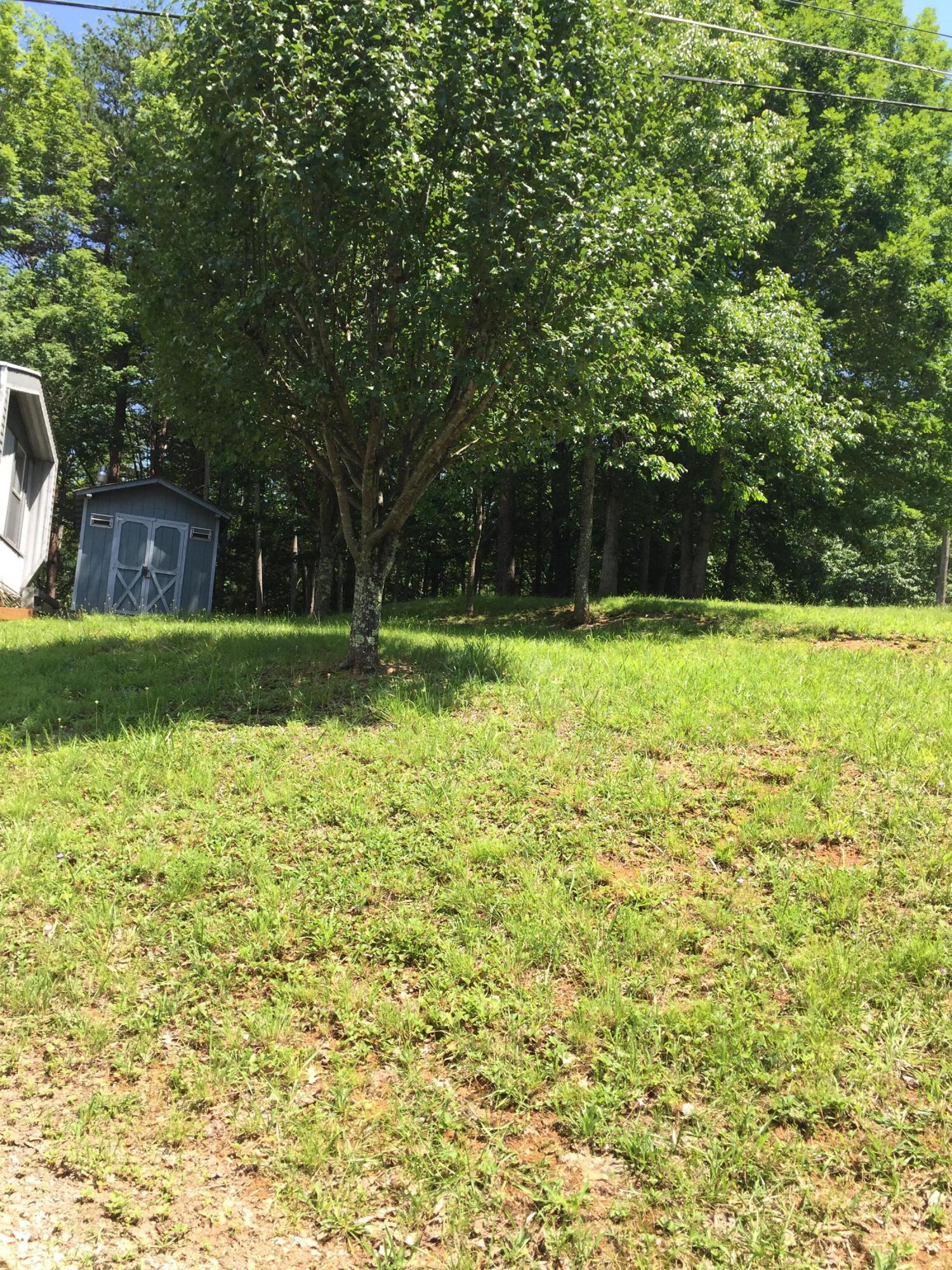 165 Loop Hollow Road New Tazewell, TN 37825 - Photo 22 of 23 IMG_0491