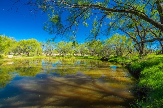 a view of a lake with a yard