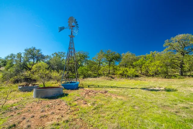 a view of a tree with a yard