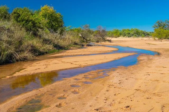 a view of a yard with wooden fence