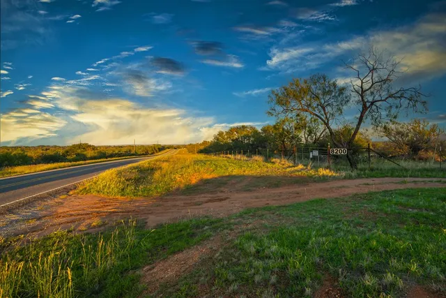a view of a yard with palm trees