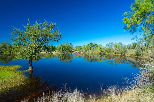 a view of a back yard
