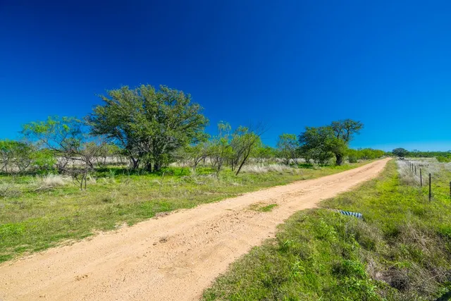 a view of a yard with a tree